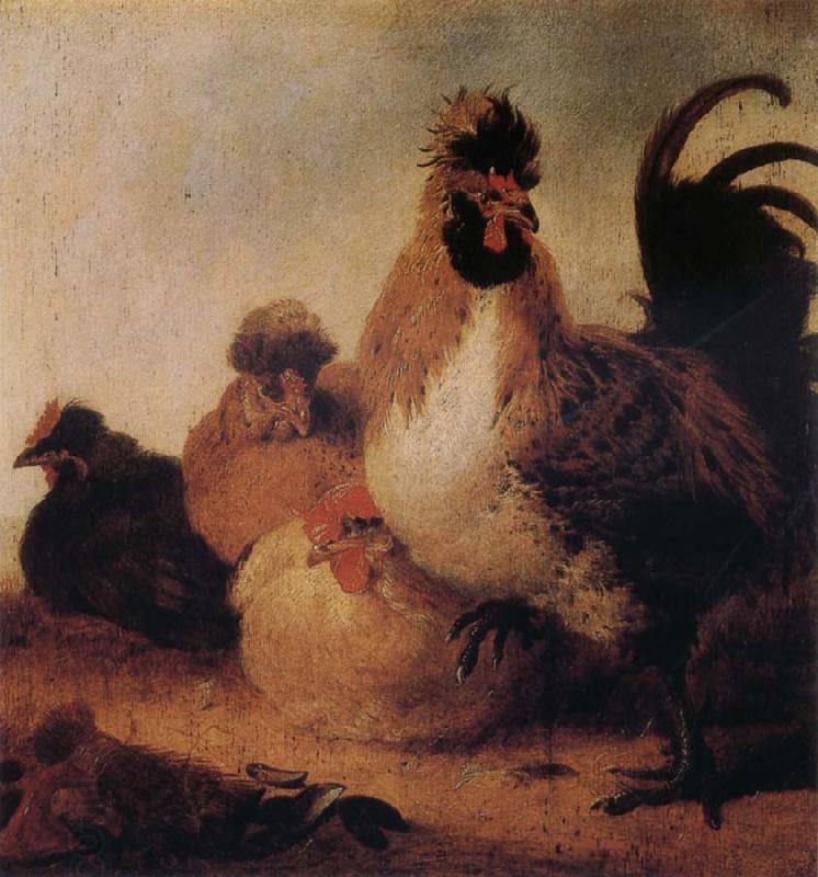 Aelbert Cuyp Rooster and Hens China oil painting art